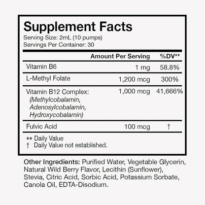 Terra Health Essentials - Liposomal B12 | Support Energy & Mood, Promote Memory, Aid Immune System (1 Bottle, 30 Day Supply)