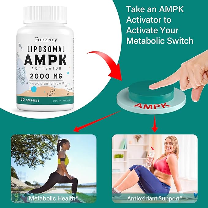Liposomal AMPK Activator 2000 mg - High Bioavailability Berberine HCL,DIM,Milk Thistle,and Cinnamon Bark Capsule 6-in-1 AMPK Supplements for Antioxidant Support and Cellular Regulation, 600 Softgels