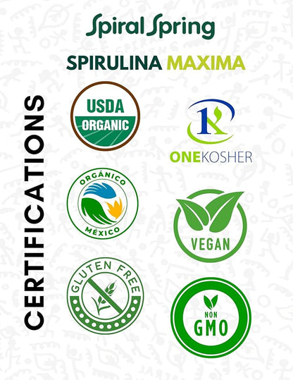 Spiral Spring Organic Spirulina + Quinoa and Cocoa 100% Natural, 200 Gr Bag with Quinoa, Cocoa and Maximum Spirulina Powder Mixture.