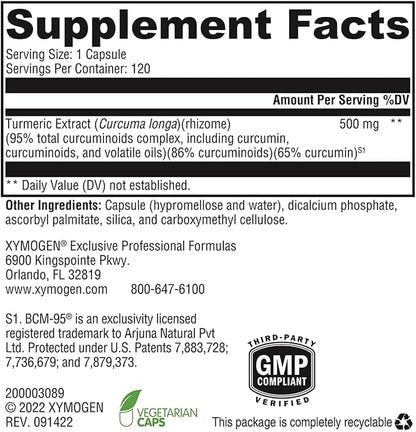 XYMOGEN CurcuPlex-95 - Turmeric Curcumin Supplements with Enhanced Bioavailability - Daily Brain Support Supplement (120 Vegan Turmeric Capsules)