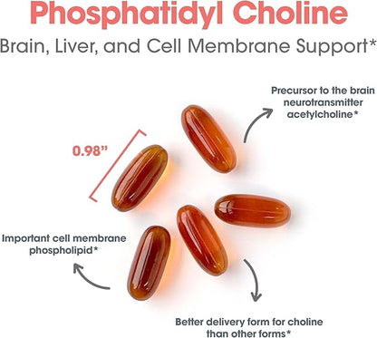 Allergy Research Group Phosphatidyl Choline - Phosphatidyl Supplements for Brain and Liver Health, Soy Lecithin Extract, 385mg Per Capsule - 100 Softgels