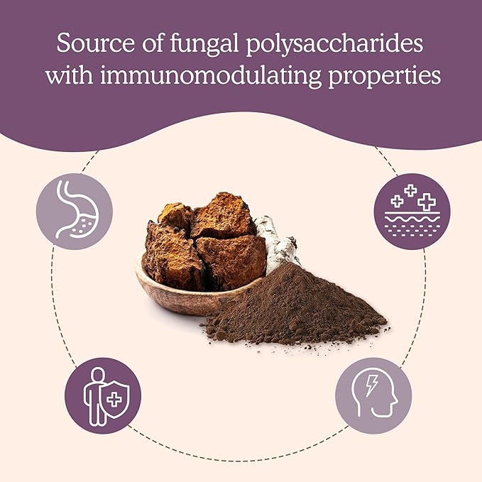 Real Mushrooms Chaga Powder - Organic Mushroom Supplement with Extract for Digestion, Energy, Immune Support Vegan Extract, Non-GMO, 150 Servings