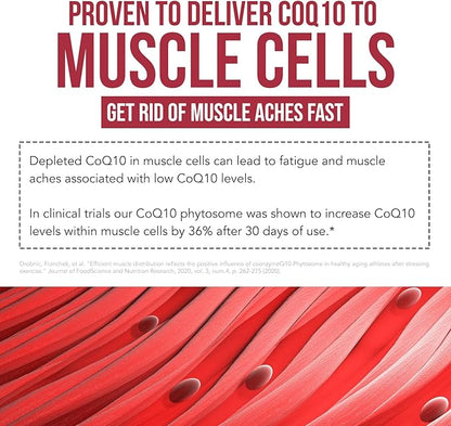 SoActive CoQ10® 250 mg: CoQ10 Phytosome with up to 9X Higher Absorption - Proven Cellular Delivery - Supports Cellular Energy Production (60 Capsules)