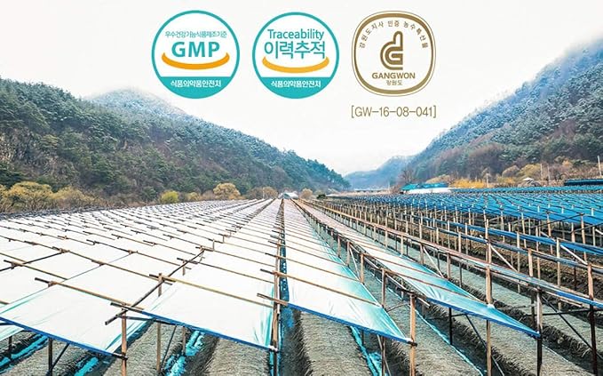 [Gangwoninsam] Korean Red Ginseng Tea (3g x 100 packets) – 6 Year Old Korean Red Ginseng, Korean Health Food, Individually Packaged (100)