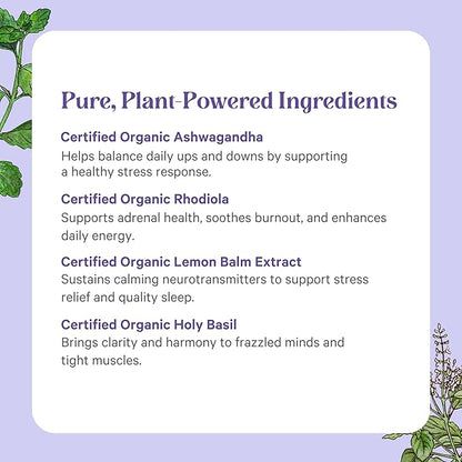 PURE SYNERGY Stress Remedy | Soothing Supplement with Ashwagandha | Organic Adaptogen Support from Rhodiola, Lemon Balm, and Holy Basil | for Stress Relief, Adrenal Health, and Mood (60 Capsules)