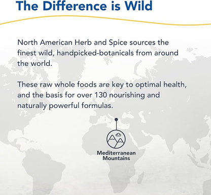 NORTH AMERICAN HERB & SPICE Super Strength Oreganol P73 - Pack of 3, 120 Softgels - Immune System Support - Non-GMO, Vegan Friendly - 360 Total Servings