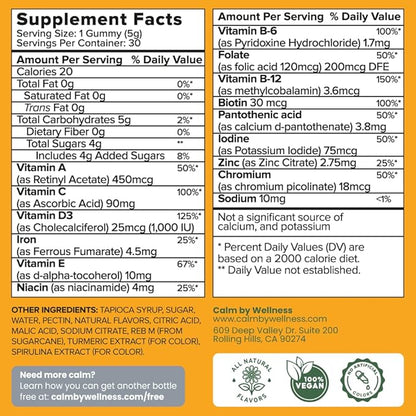 Multivitamin Gummies - All Natural Vegan Adult Multivitamin Gummy - Packed with Antioxidant Vitamins C & E, B12, B6, Folic Acid, Pantothenic Acid - Essential for Overall Health