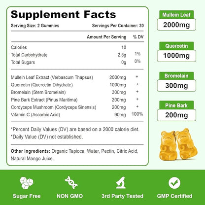 Mullein Gummies, Mullein Leaf Extract with Bromelain, Quercetin, Pine Bark Support Lung Cleanse for Healthy Breathing, 120ct