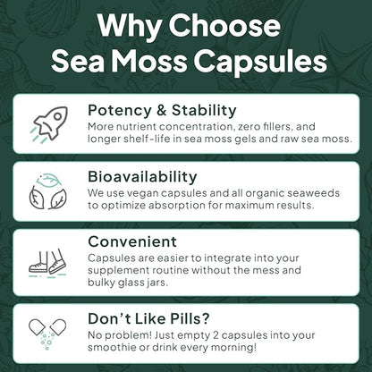 Wild Sea Moss Capsules - 100% Organic Irish Sea Moss with Organic Chlorella, Bladderwrack and Vitamin D for Energy, Lung Health and Thyroid Support for Women and Men - 60 Capsules