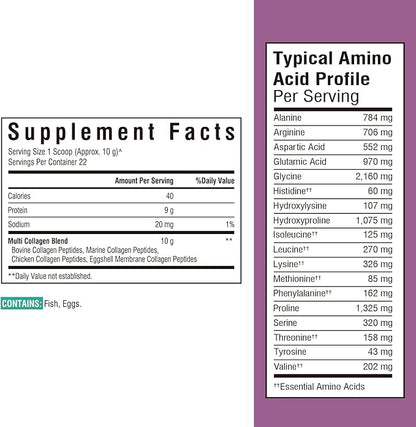Bovine Collagen Peptides Powder 16oz