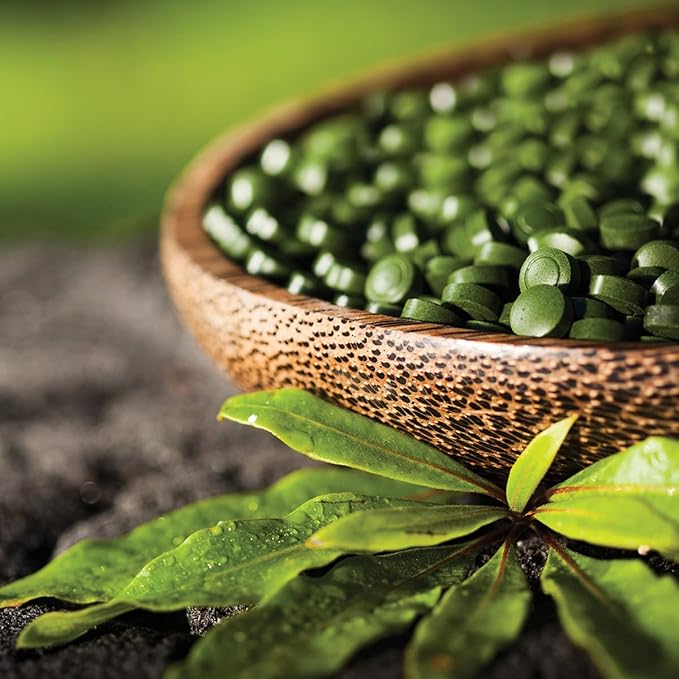 Sun Chlorella 200 mg Green Algae Superfood Supplement - Pulverized Cell Wall - Chlorophyll, CGF, Active B12, Iron, Protein - Non-GMO - 1500 Tablets