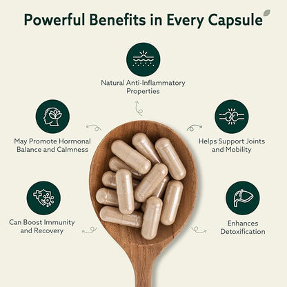 Burdock Root Organic and Bladderwrack 10 in 1 Immunity Booster Power Blend with Irish Sea Moss, Ashwagandha and Black Seed Supplement for Men and Women, Seamoss Pills Herbal, Vegan - 60 Capsules