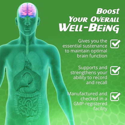 Ginkgo Biloba Support Brain Function, Supplements for Memory and Focus, Natural Antioxidant-Rich, Promotes Overall Health, 120 Vegetarian Capsules, GMP