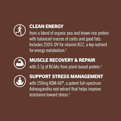 OM MUSHROOM SUPERFOOD Master Blend Creamy Chocolate Protein Powder, 16 Servings, Plant-Based with 10 Mushroom Complex for Recovery & Energy
