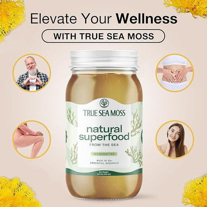 TrueSeaMoss Sea Moss Gel – Made in USA – Wildcrafted Seamoss, Dried Seaweed & Sea Vegetables – Original, Pack of 5 (Labels may Vary)
