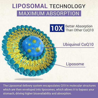 Liposomal Ubiquinol CoQ10 800 MG Softgel, High Absorption CoQ10 Ubiquinol Supplement, Active Coenzyme Q10 800mg, Powerful Antioxidant for Heart & Brain Function, Energy Production, 480 Vegan Softgels
