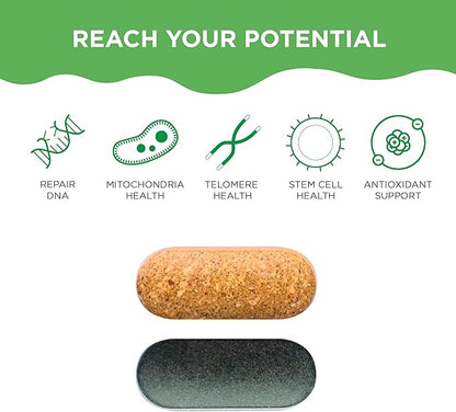 Healthycell AM PM Healthspan System - Full Body Healthy Aging Supplement with Protective Phytonutrients, Probiotics and Enzymes - Advanced Cellular Nutrition - 30 Servings