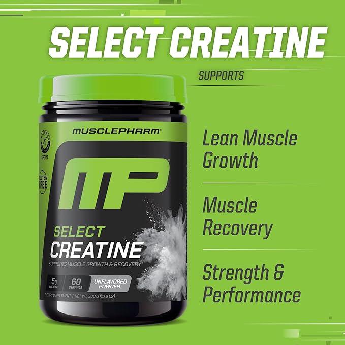 MusclePharm Essentials Creatine Monohydrate Powder, Pre Workout Muscle Builder & Post Workout Muscle Recovery Supplement, Ultra-Pure 100% Monohydrate Creatine Powder, 60 Servings, Unflavored