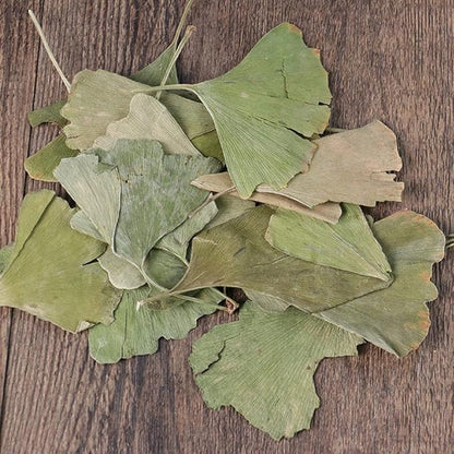 Dried Ginkgo Biloba Leaves Ginkgo Biloba Dried Loose Leaves - Gingko Maidenhair Tree Yinxingye (250 Grams)