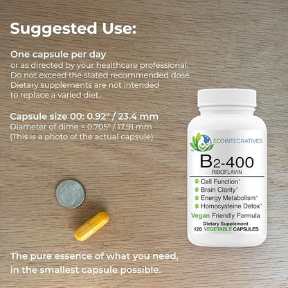 EcoIntegratives B2-400 Pure Riboflavin - Nervous System Health, Homocysteine Detox, Cardiovascular, Helps Boost Energy, Mental Clarity, Metabolism and Cell Function 120 Vegan Capsules
