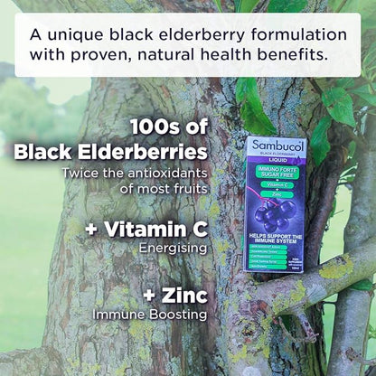 Sambucol Sugar-Free Black Elderberry Syrup - Sambucus Elderberry Syrup for Adults Immune Support, Elderberry Liquid, Elderberry Extract - 4 Fl Oz