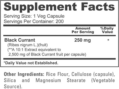 NusaPure Black Currant 10:1 Extract, 250 mg Equivalent to 2,500mg, per Caps 200 Veggie Capsules Vegan, Non-GMO
