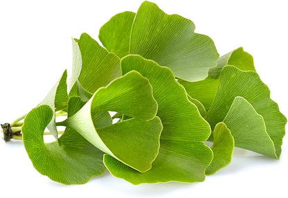 Pure Original Ingredients Ginkgo Biloba Powder (8 oz) Always Pure, No Fillers Or Additives, Lab Verified