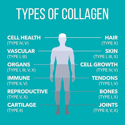 Natures Plus Collagen Peptides - 20 Stick Packets - Hair, Skin, Nail & Joint Health, Immune System Support - Non-GMO, Gluten Free - 20 Servings