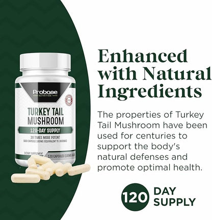 Premium Turkey Tail Mushroom Capsules Turkey Tail Supplement with Real Mushroom Extract Coriolus Versicolor 4 Month Supply 120 Capsules