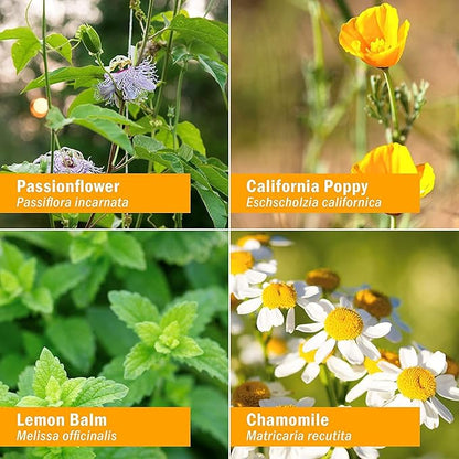 Kids Fast Asleep – Tasty, Organic, Alcohol-Free Kids Sleep Support Herbal Extract With Lemon Balm, California Poppy & Passionflower, Soothes Nap & Nighttime Transitions, Vegan, 1 Oz