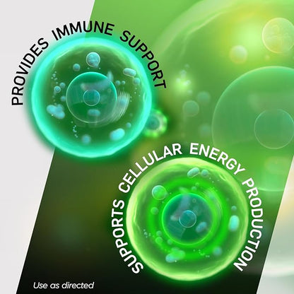 Shot B Multivitamin Complex, B-Energy, Vitamin B Complex with Antioxidant Support, B Complex Vitamins with A, C, D, E & Folic Acid for Cellular Energy & Immune Health - 6 Key B Vitamins, 60 Count