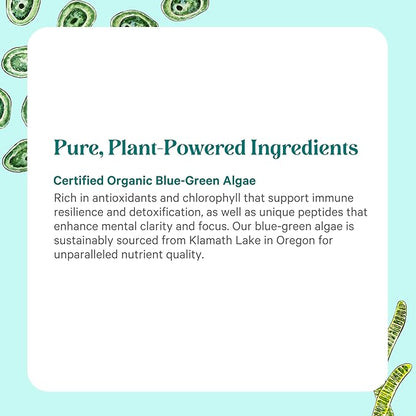 PURE SYNERGY Blue-Green Algae Capsules | Superfood with Chlorophyll | Organic Superfood Supplement from AFA Blue Green Algae | Supports Energy, Mental Clarity, and Detoxification (90 Capsules)