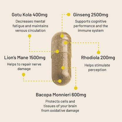 Vegan Vitality Brain & Body Balance Bundle: 120 Lions Mane Mushroom Nootropic Brain Support Supplement and 60 Vegan Vitamin D3 + K2 4000IU (100mcg)