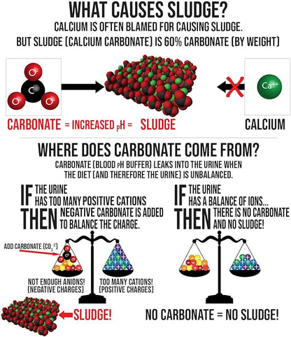 Urinary Support by Sherwood Pet Health (100 Tablets - 60 Grams)