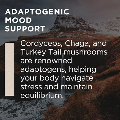 Vital Mushroom, Super Complex Blend Gummies, Nootropic, Cognitive Clarity, Gut Support, Immune Fortifying, Delicious Raspberry Flavor.