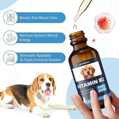 Vitamin B12 for Dogs | Methylcobalamin (Methyl B12) | Appetite Stimulant, Treatment of EPI in Dogs Boosts Red Blood Cell Formation, Energy, Nervous System, Treats Pancreatitis | 2 fl oz