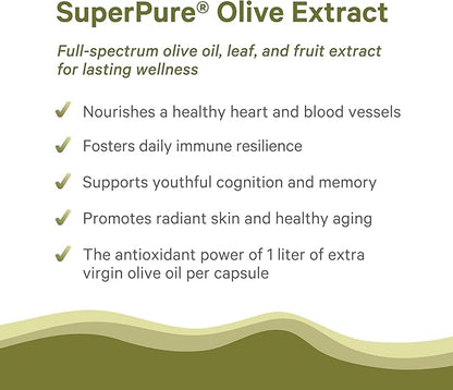 PURE SYNERGY SuperPure Olive Extract | Organic Olive Leaf, Oil, and Fruit Supplement with Polyphenols | for Heart, Brain, and Immune Health (60 Capsules)