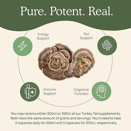 Turkey Tail Capsules - Organic Mushroom Supplement with Potent Extract for Gut, Energy, Brain, Immune Support Vegan Extract, Non-GMO, 200 Caps