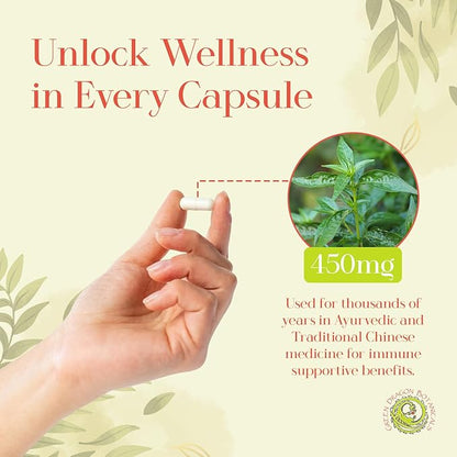 Andrographis Capsules (Andrographis paniculata) Herb 450 mg 100 Capsules Made in USA - Cold Prevention and Immune Support Supplements - Organic, Non-GMO, Gluten-Free, Vegetarian GMP Standards