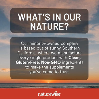 NatureWise Vegan Iron Supplement for Women & Men - Gentle on Stomach High Absorption - Coated Iron Bisglycinate Tablets + Vitamin C, Methyl B12, Folate & Organic Food Blend - 90 Tablets[90-Day Supply]