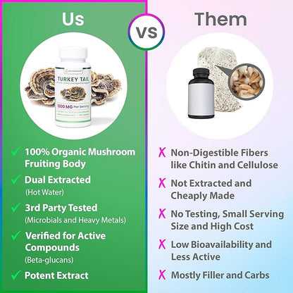 ENCAPSULATE Turkey Tail Capsules 1000mg – Premium Organic Fruiting Body 1:1 Extract – Adaptogen Mushroom Supplement for Digestive, Gut & Immune Support – Lab Tested & Max Bioavailability – 60 Count