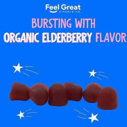 USDA Organic Elderberry Gummies for Kids | Immune Support Elderberry with Zinc and Vitamin C - Gluten Free & Vegan Children's Vitamins - 60 Count | Sambucus Nigra Supplement