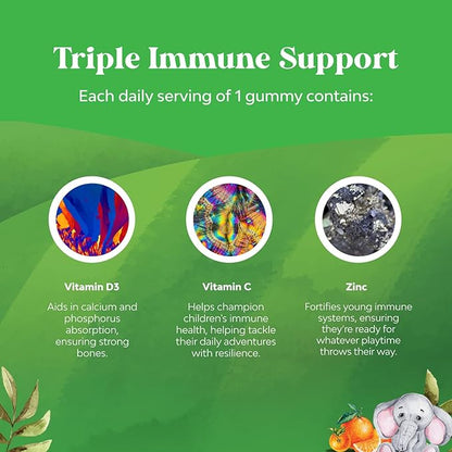 Natures Craft Organic Kids Immune Support Gummies - Vegan Organic Vitamin D Gummies for Kids with Vitamin C and Zinc for Immunity - D3 Zinc and C Gluten Free & Non GMO (120 Servings)