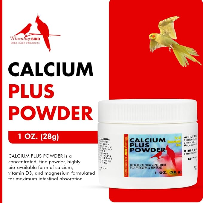 Morning Bird Calcium Plus Powder for Birds 1 oz – Calcium Supplement with Vitamin & Protein Powder – Supports Bone Health, Muscle Function & Digestive Balance – Easy-to-Mix Calcium Formula