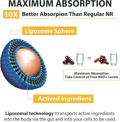 Liposomal Nicotinamide Riboside 2000 MG with TMG and Pterostilbene, Boosting NAD+, Support Healthy Aging, 480 Count