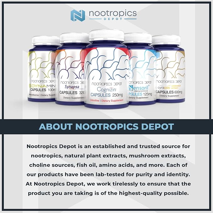 Nootropics Depot Curcumin + Piperine Capsules | 1000mg Curcumin + 6mg Piperine | 60 Count