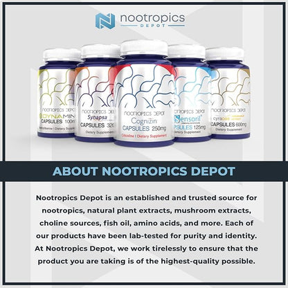 Nootropics Depot Curcumin + Piperine Capsules | 1000mg Curcumin + 6mg Piperine | 60 Count