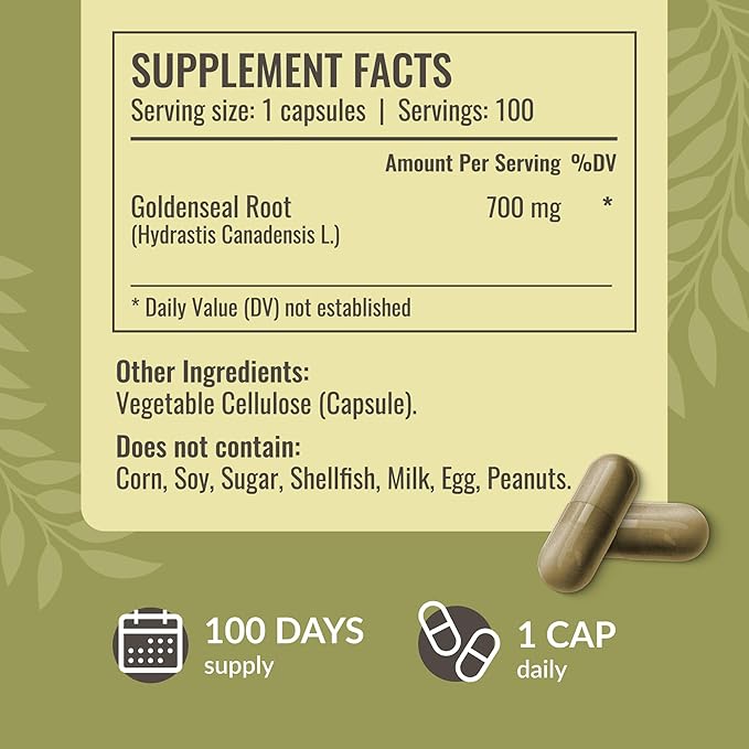 HERBAMAMA Black Elderberry and Goldenseal Kit - Bundle of Elderberry Extract & 700mg Goldenseal Root Capsules - Vegan, Non-GMO, Sugar & Gelatin-Free - 2 Pack