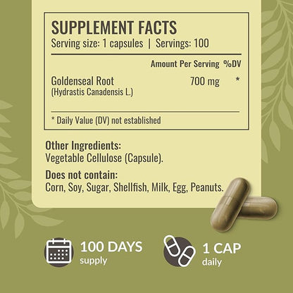 HERBAMAMA Turmeric Ginger and Goldenseal Kit - Bundle of Turmeric Ginger Tincture 2 fl oz and 700 mg Goldenseal Root Capsules - Vegan, Non GMO, Sugar & Alcohol-Free - 2 Pack