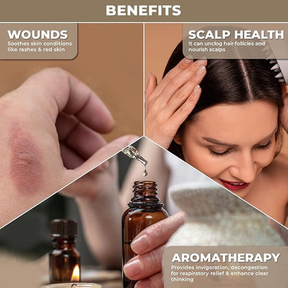 100% Plant Based Organic Camphor Essential Oil - Pure, Natural, Steam Distilled Camphor Oil for Aromatherapy, Skin and Hair Care | Alcanfor | Therapeutic Grade Essential Oil for Humidifier & Diffuser